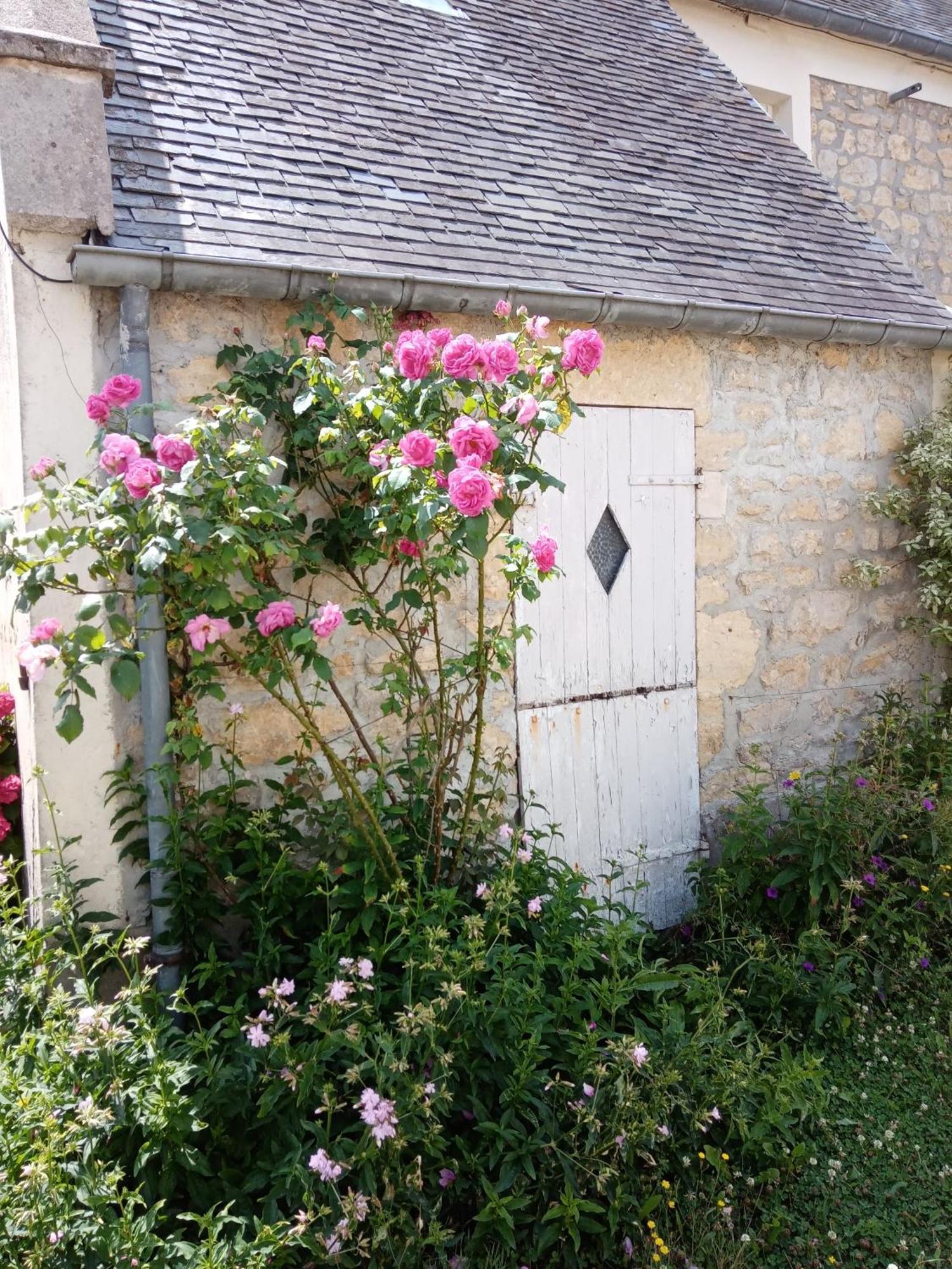 Rose Garden Bayeux Bed & Breakfast Bagian luar foto
