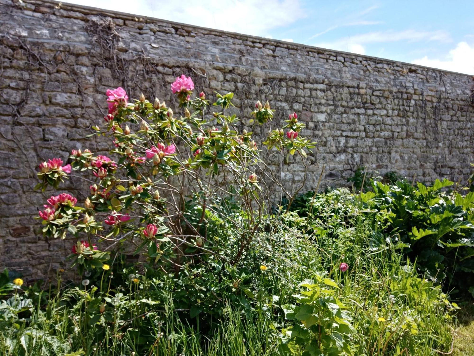 Rose Garden Bayeux Bed & Breakfast Bagian luar foto