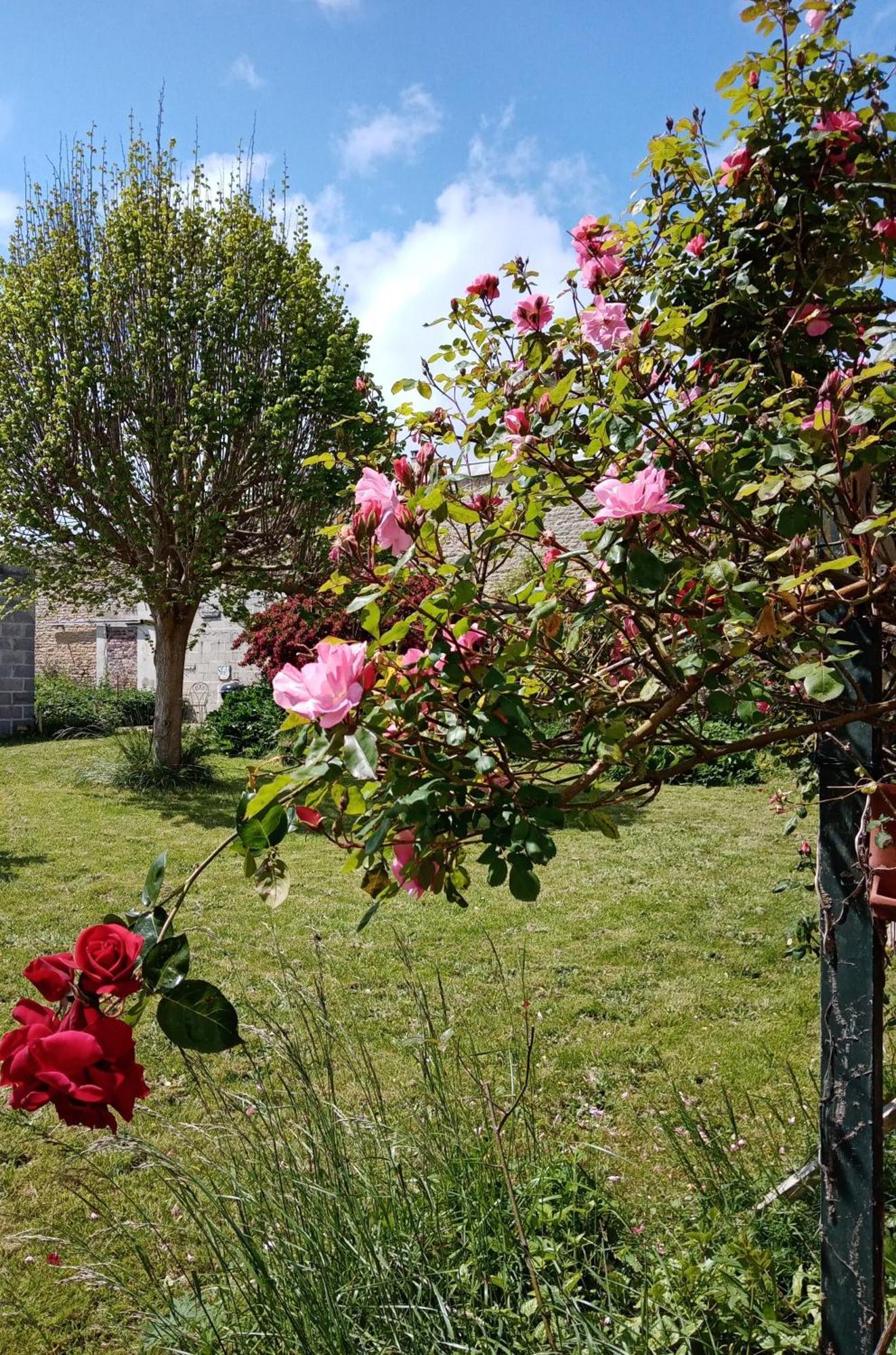 Rose Garden Bayeux Bed & Breakfast Bagian luar foto